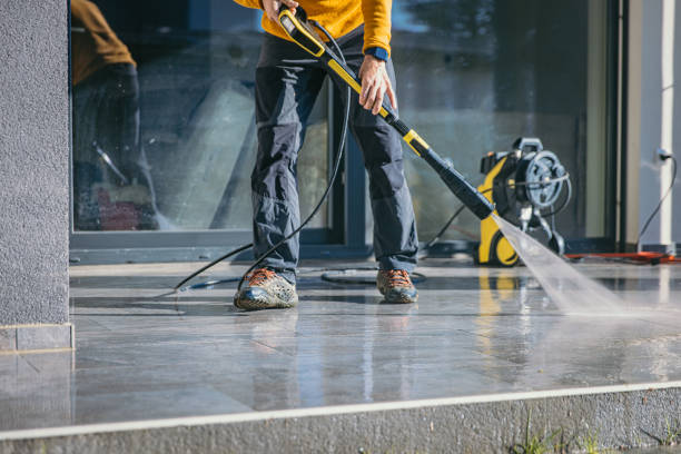 Best Driveway Pressure Washing  in Apalachin, NY